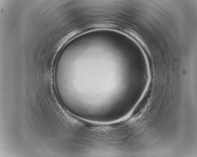 X0000059050853200510171912