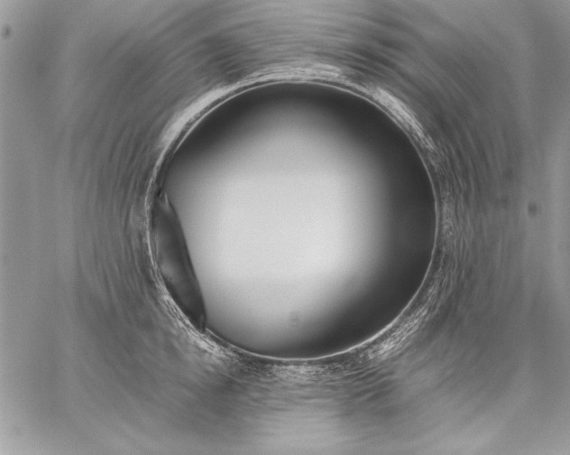 X0000059050854200510171912