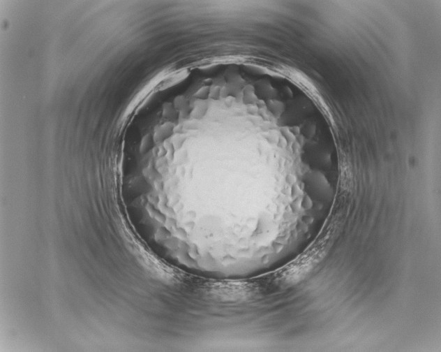 X0000059050859200510171912