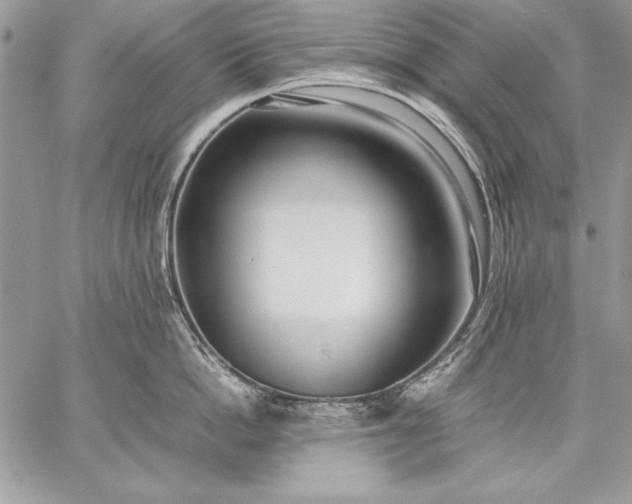 X0000059050862200510171912