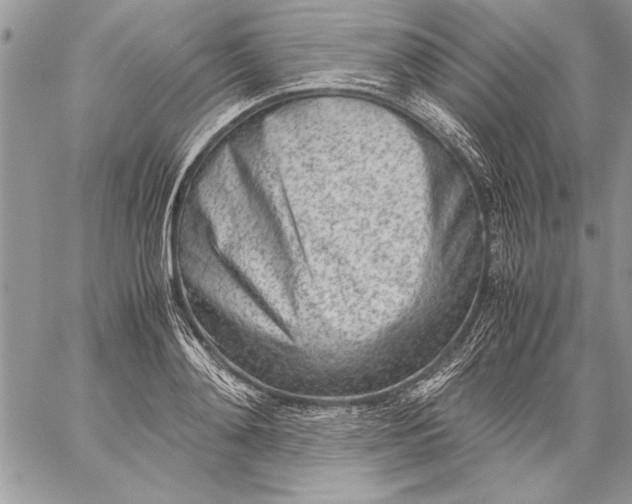 X0000059050892200510171911
