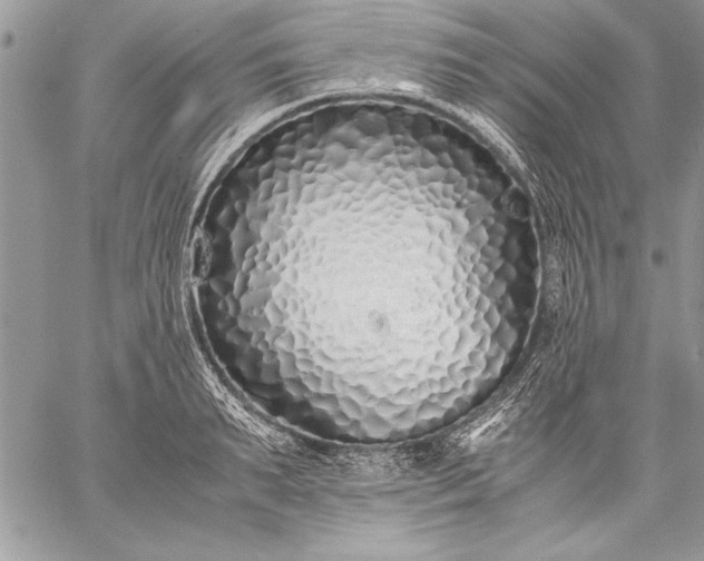 X0000059050895200510171911