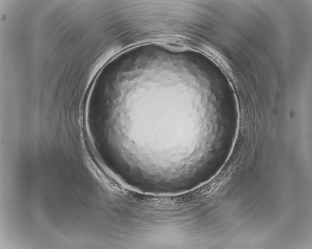 X0000059050907200510171911