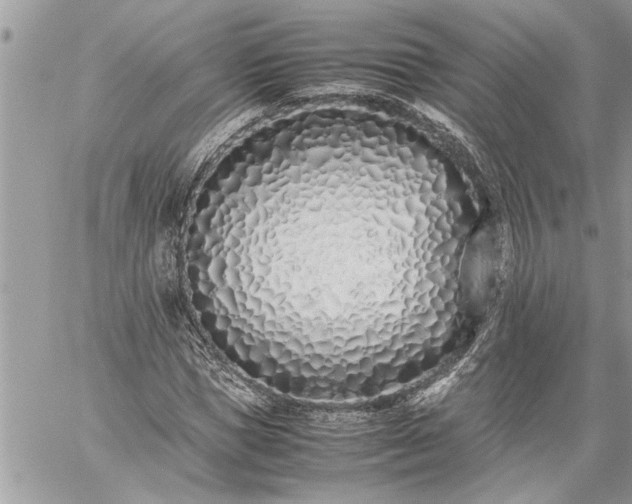 X0000059050921200510171910