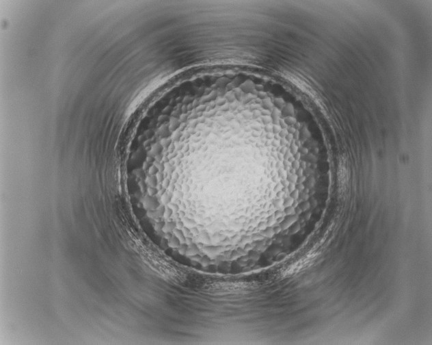 X0000059050925200510171910