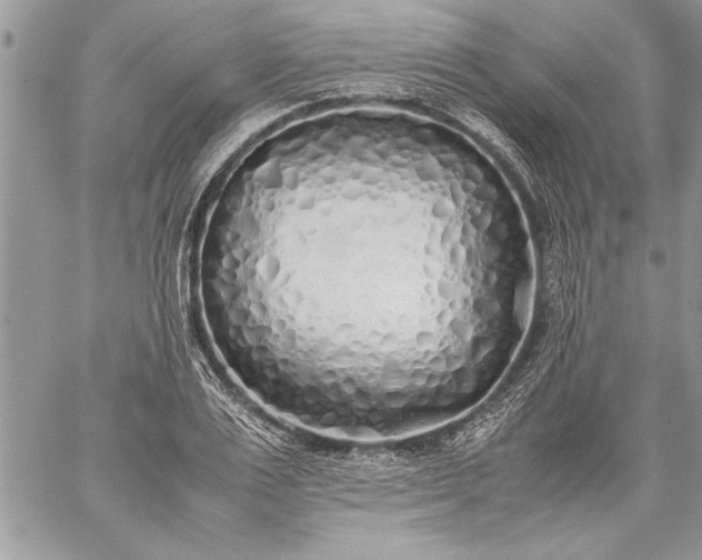 X0000059050983200510171910