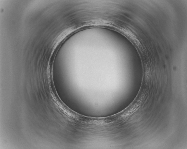 X0000059050990200510171909