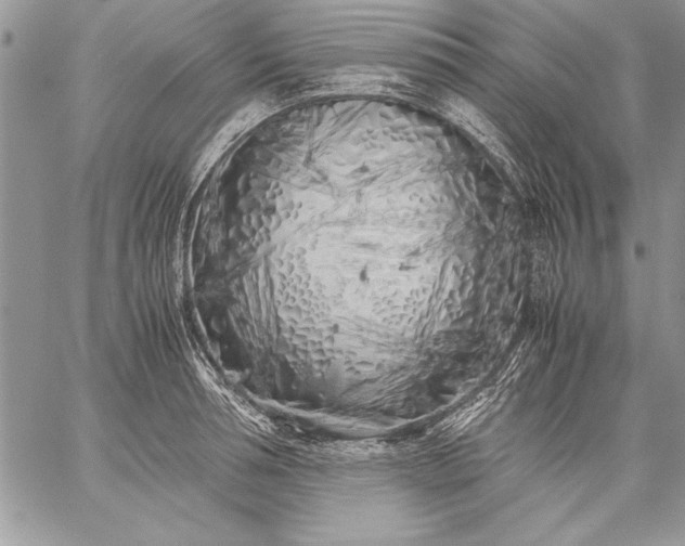 X0000059050994200510171909