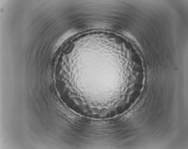 X0000059051019200510171909