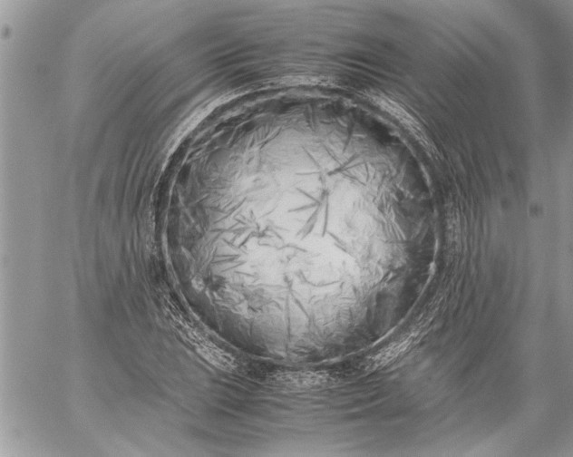 X0000059051023200510171909