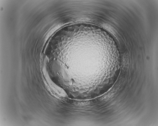 X0000059051047200510171909