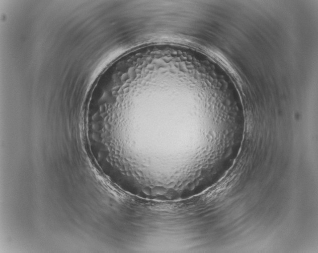 X0000059051048200510171909