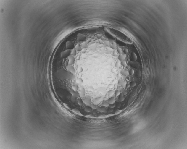 X0000059051055200510171909