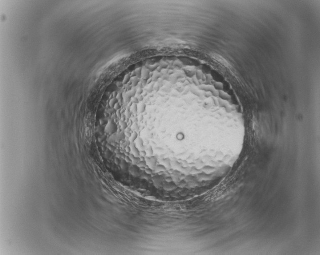 X0000059051063200510171908