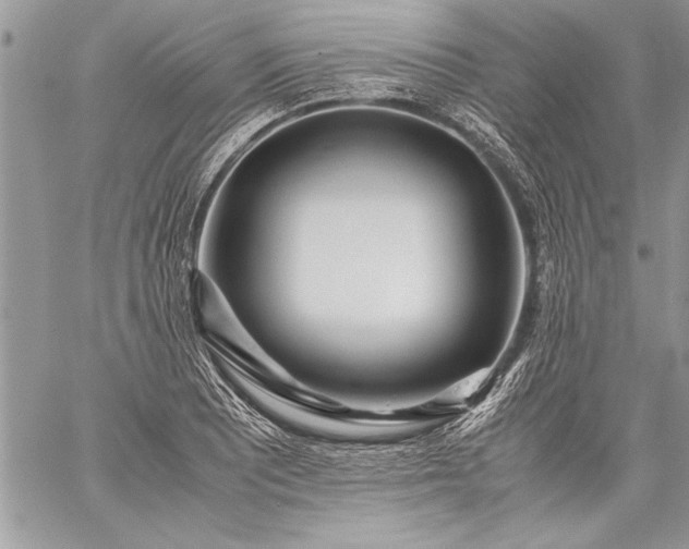 X0000059051081200510171908