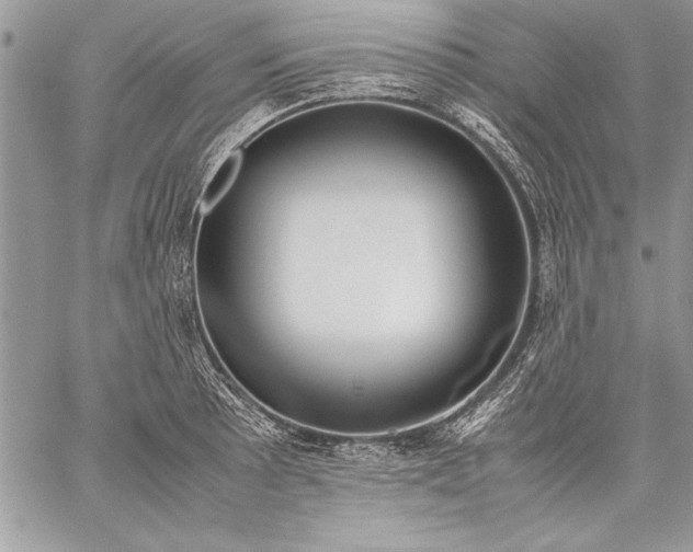 X0000059051089200510171908