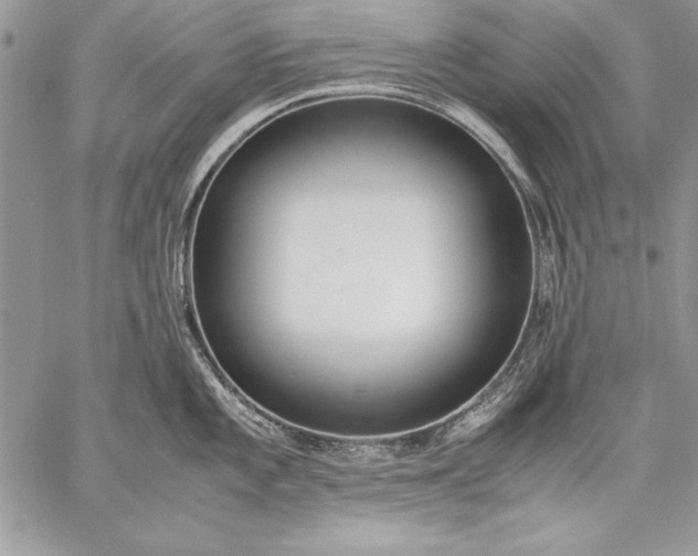 X0000059051101200510171908