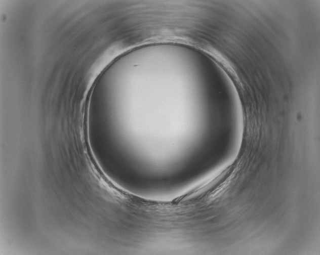 X0000059051102200510171908