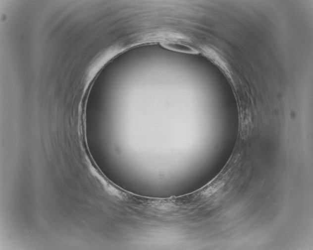 X0000059051103200510171908
