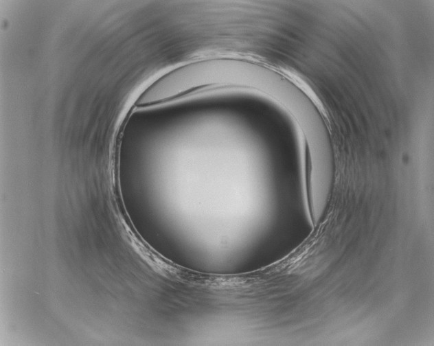 X0000059051148200510171908