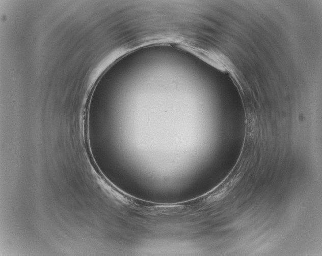 X0000059051151200510171908