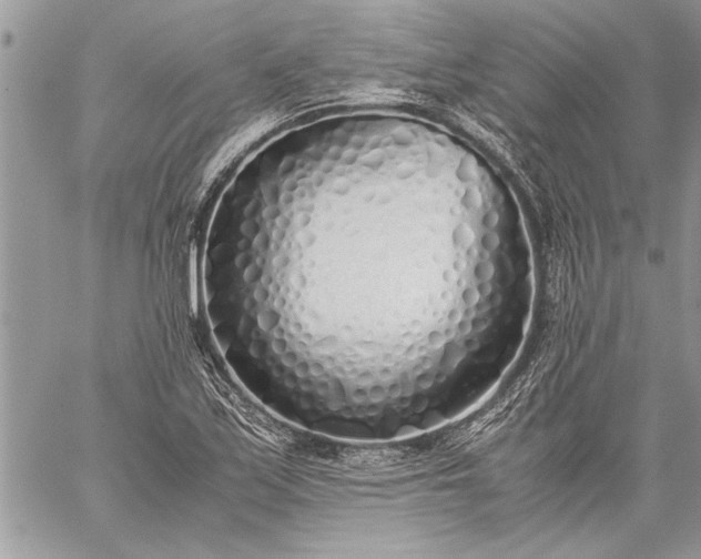 X0000059051171200510171907