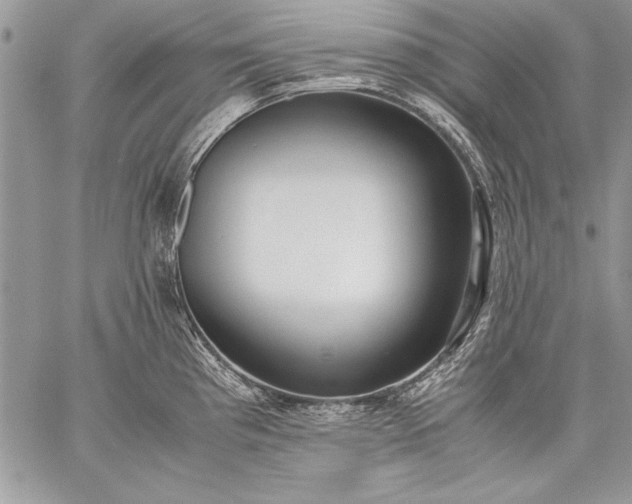 X0000059051193200510171906