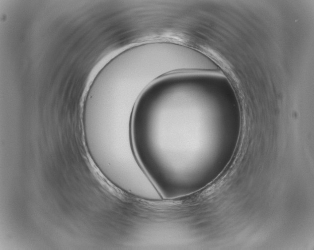 X0000059051200200510171906