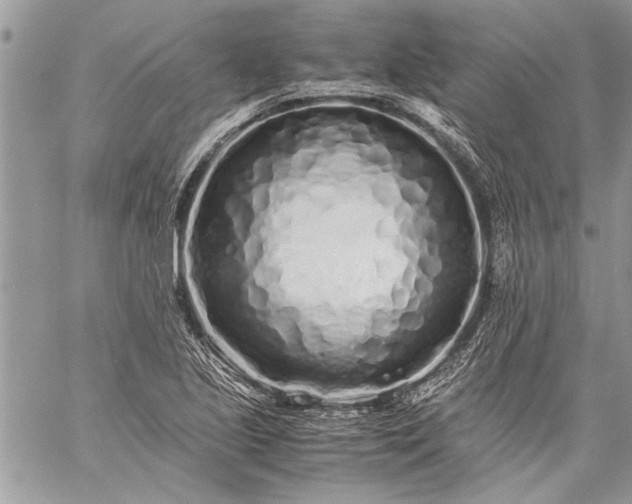 X0000059051221200510171906