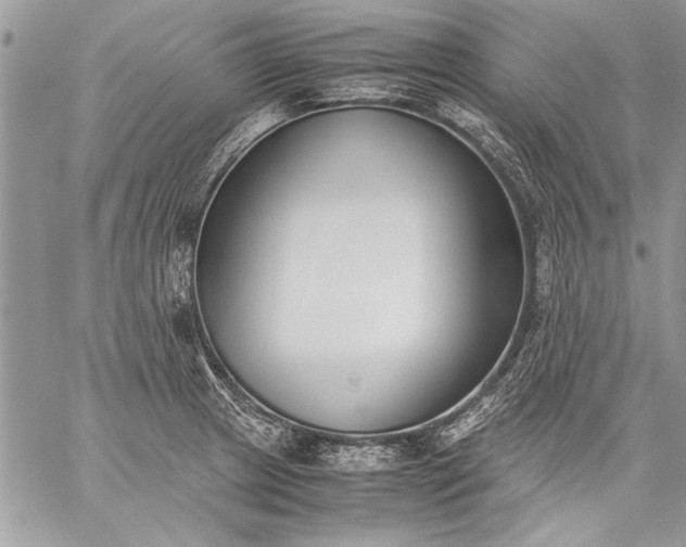 X0000059051233200510171906
