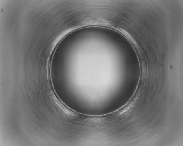X0000059051246200510171906