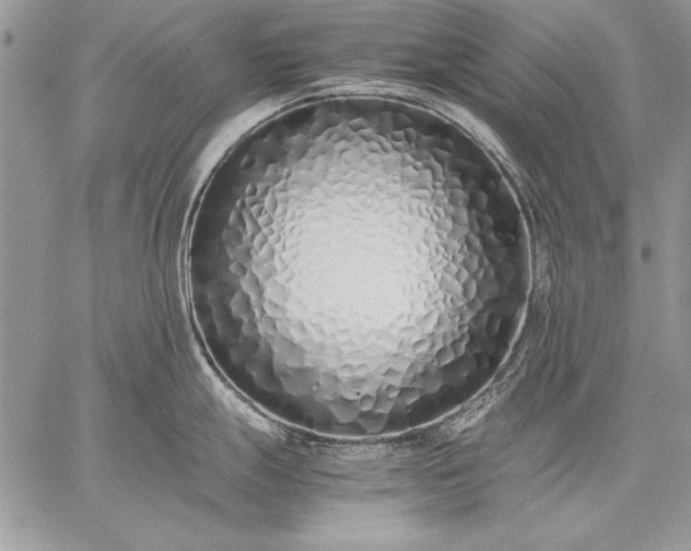X0000059051247200510171906