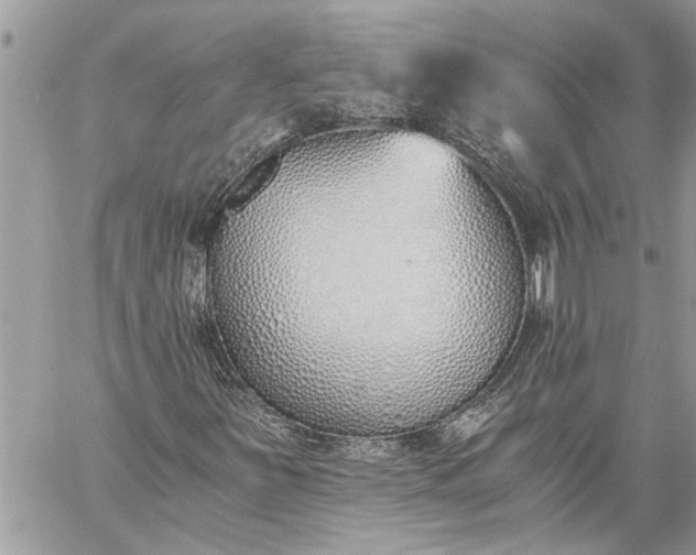X0000059051251200510171905