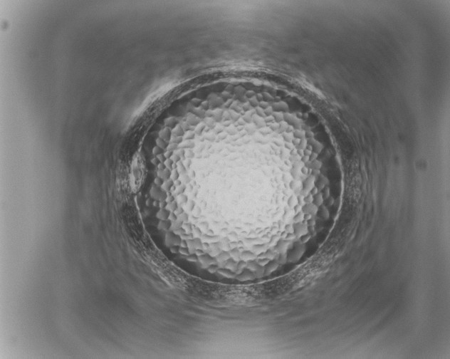 X0000059051255200510171905