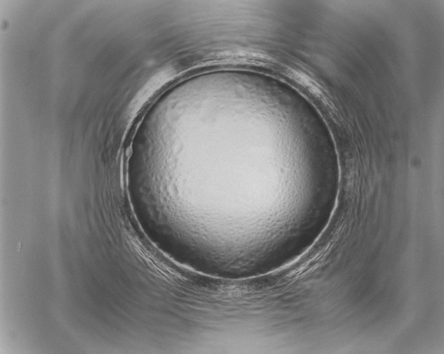 X0000059051275200510171905