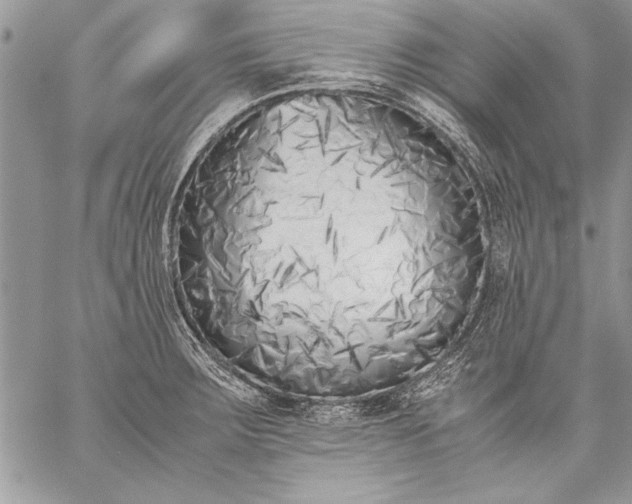 X0000059051283200510171905