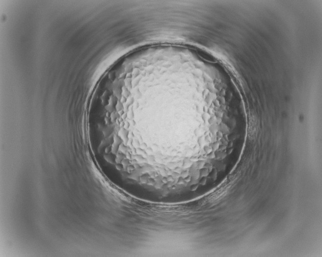 X0000059051295200510171905