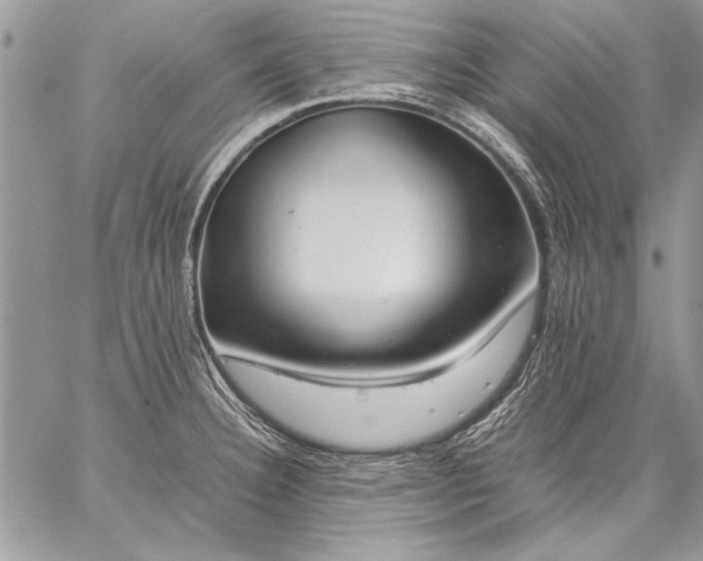 X0000059051332200510171904