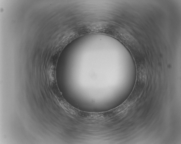 X0000059051346200510171904
