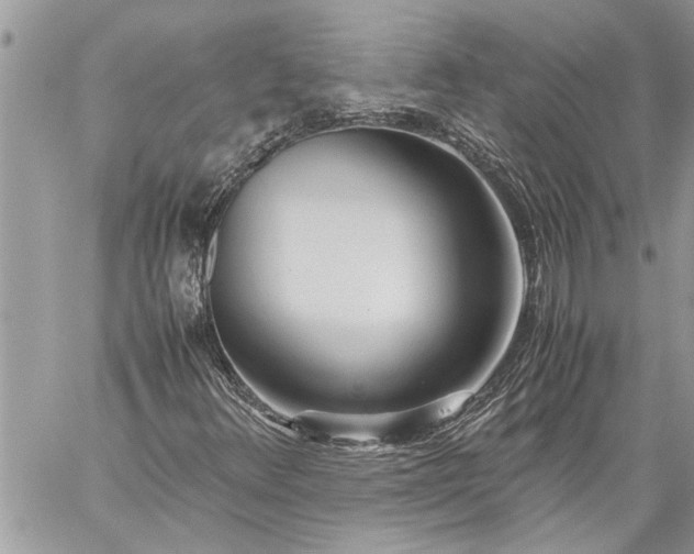 X0000059051348200510171904
