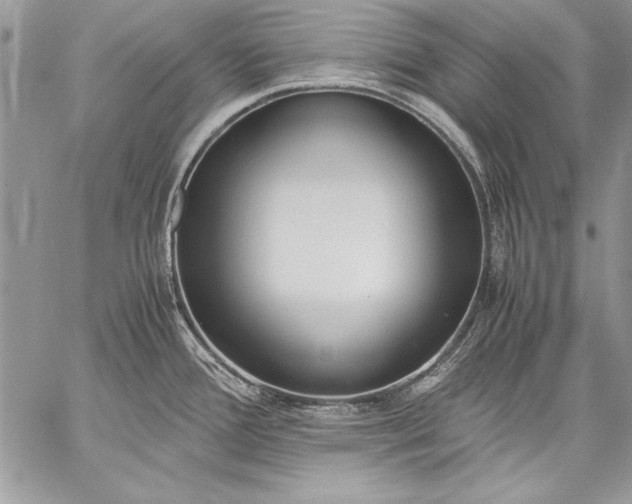 X0000059051388200510171903