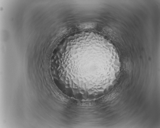 X0000059051393200510171902