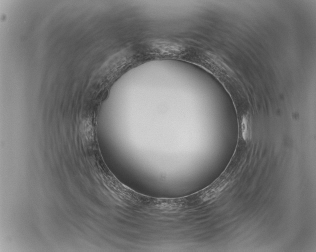 X0000059051395200510171902
