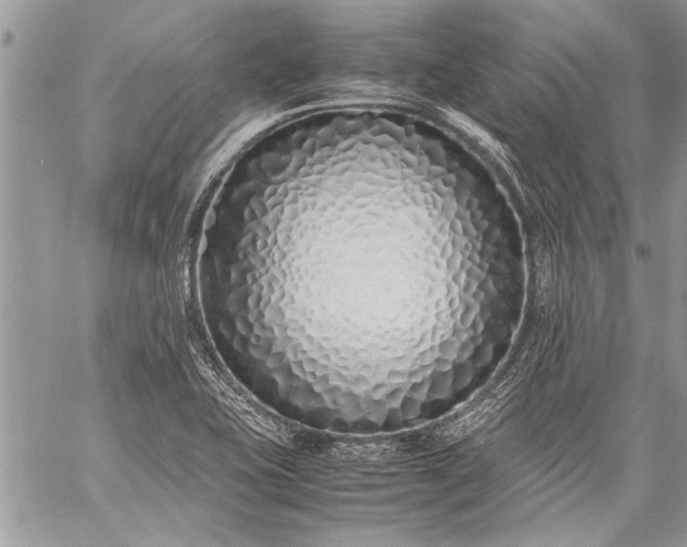 X0000059051415200510171902