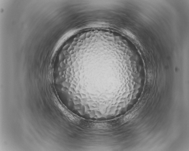 X0000059051421200510171903