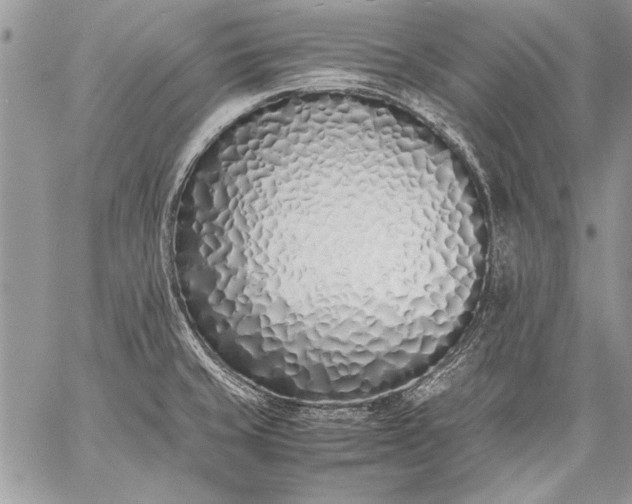 X0000059051429200510171903