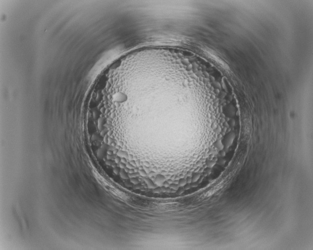 X0000059051471200510171902