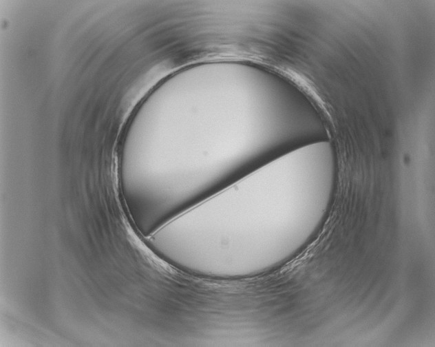X0000059051476200510171901