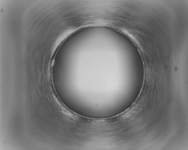 X0000059051477200510171901