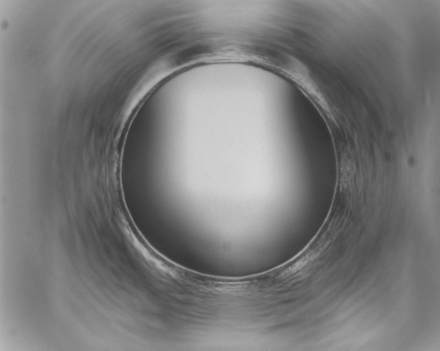 X0000059051484200510171901